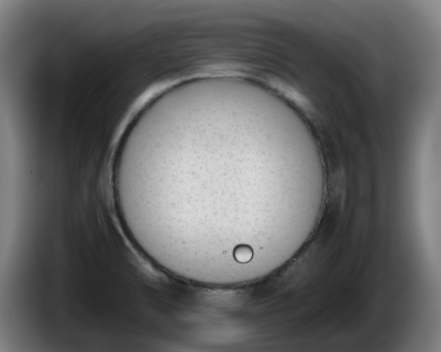 X0000086011470200703300959