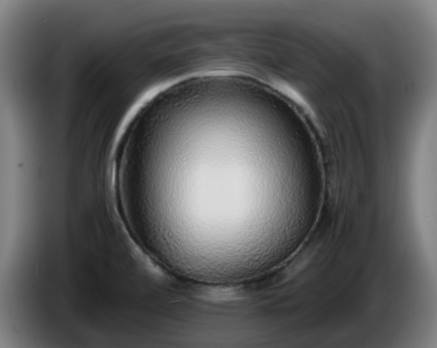 X0000086011472200703300959