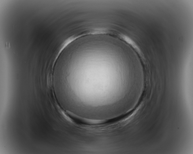 X0000086011473200703300959