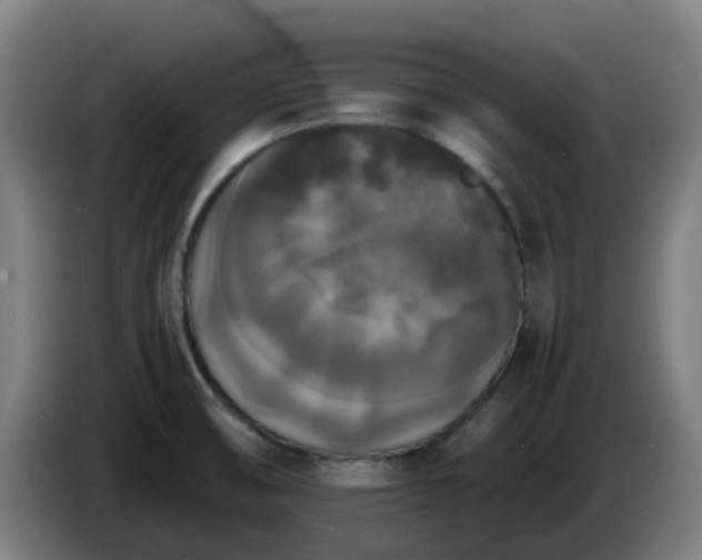 X0000086011474200703300959