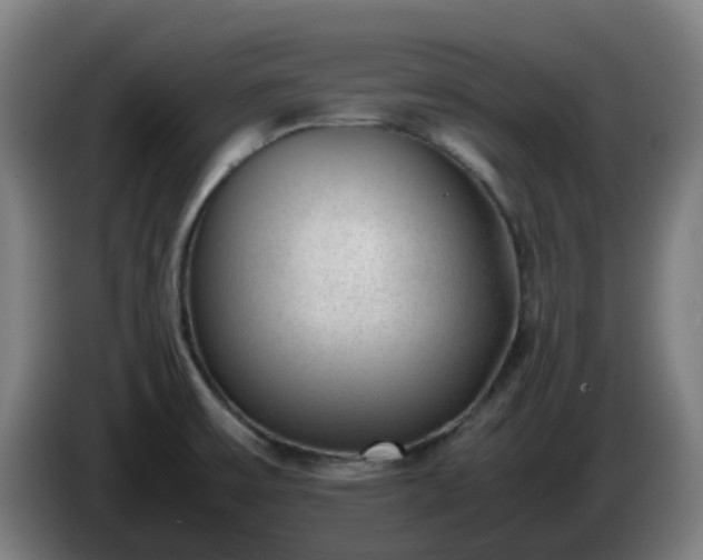 X0000086011475200703300959
