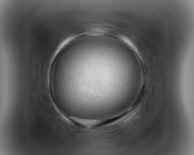X0000086011477200703300959