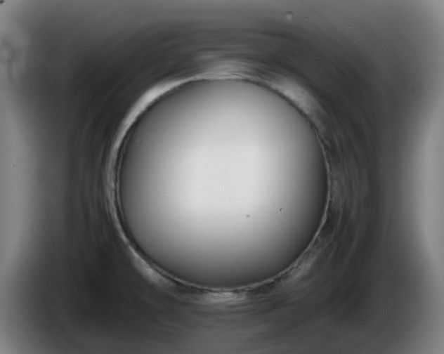 X0000086011478200703300959