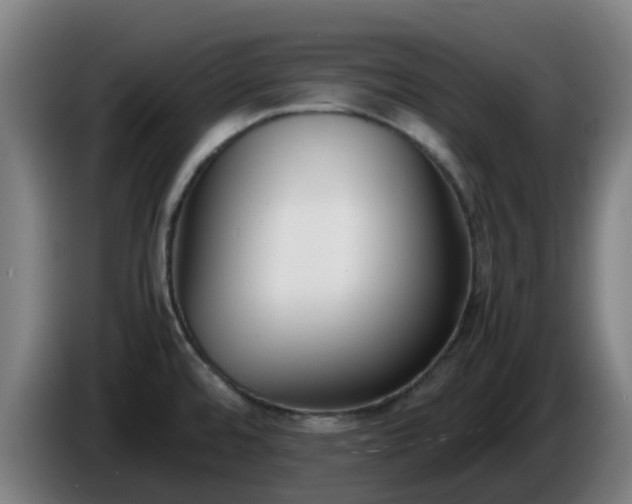 X0000086011480200703300959