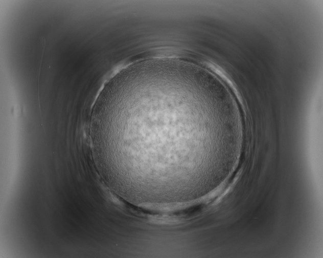 X0000086011481200703300959