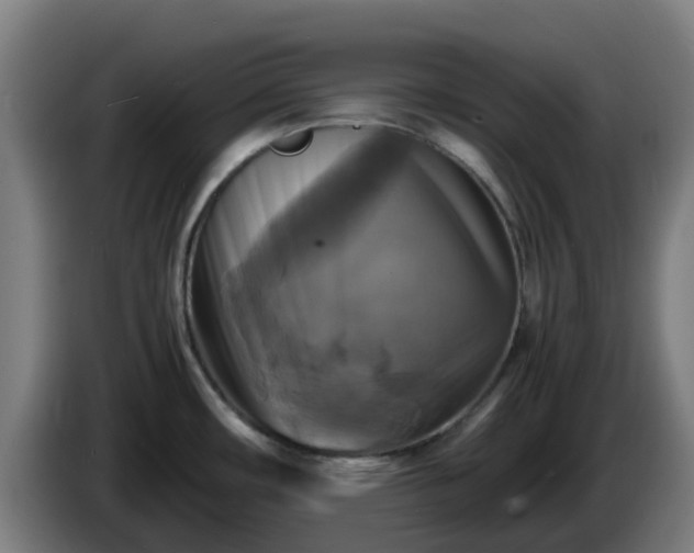 X0000086011482200703300959
