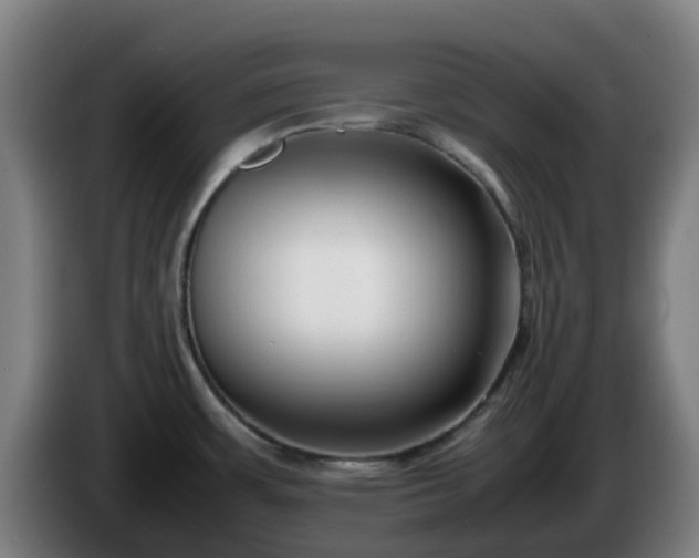 X0000086011483200703300959