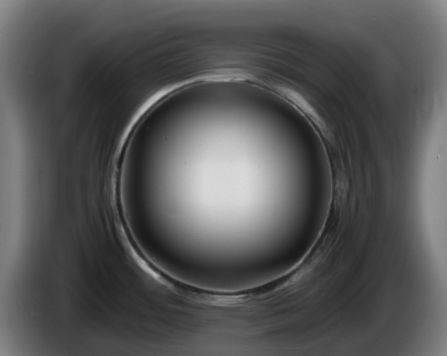 X0000086011484200703300959