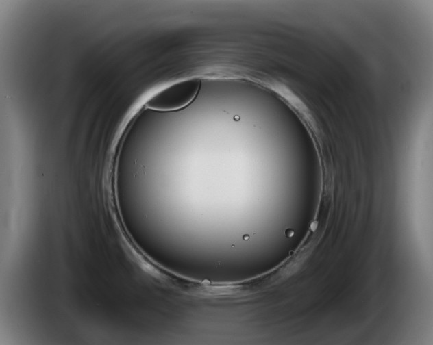 X0000086011486200703300959