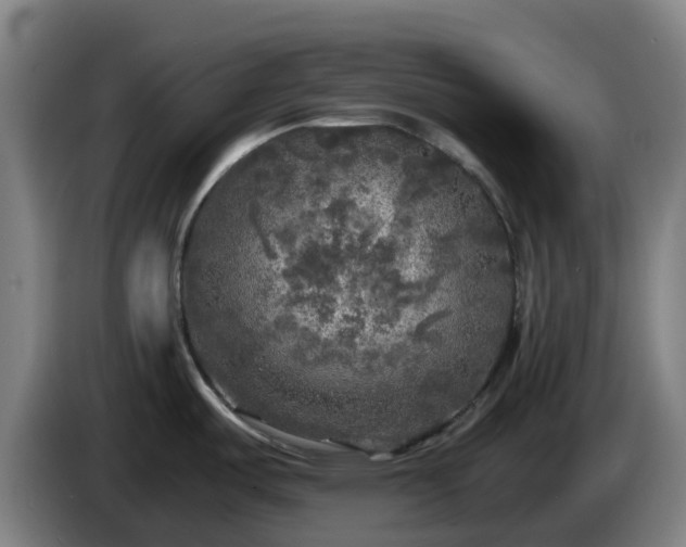 X0000086011487200703300959