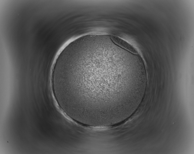 X0000086011488200703300959