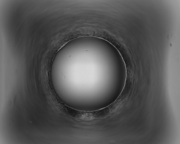 X0000086011489200703300958
