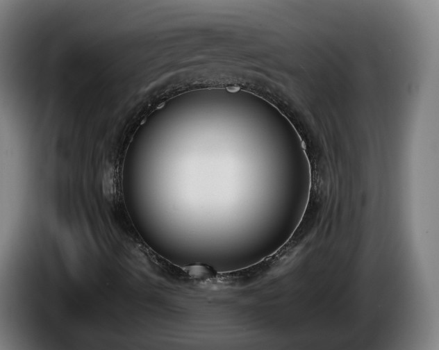 X0000086011490200703300958
