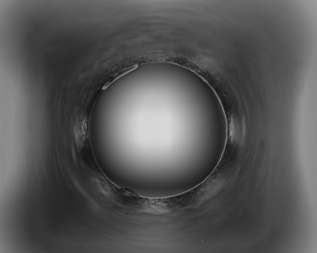 X0000086011492200703300958
