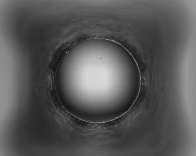 X0000086011493200703300958