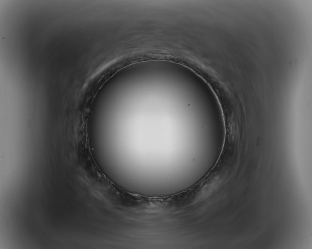 X0000086011494200703300958