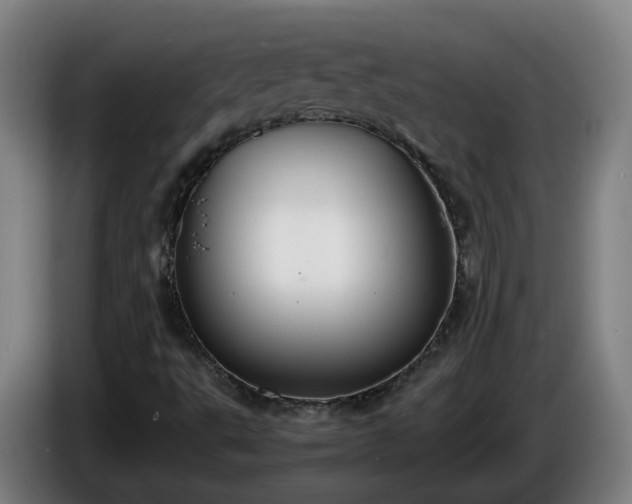 X0000086011495200703300958