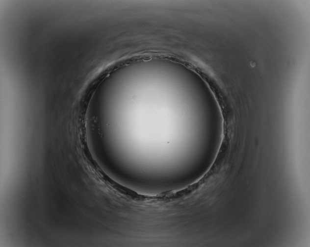 X0000086011496200703300958