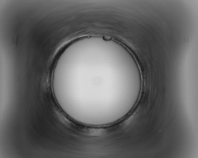 X0000086011498200703300958