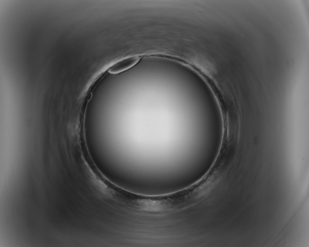 X0000086011500200703300958