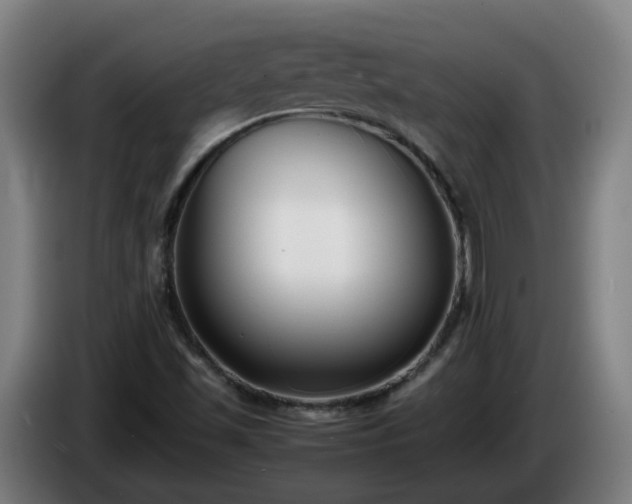 X0000086011501200703300958