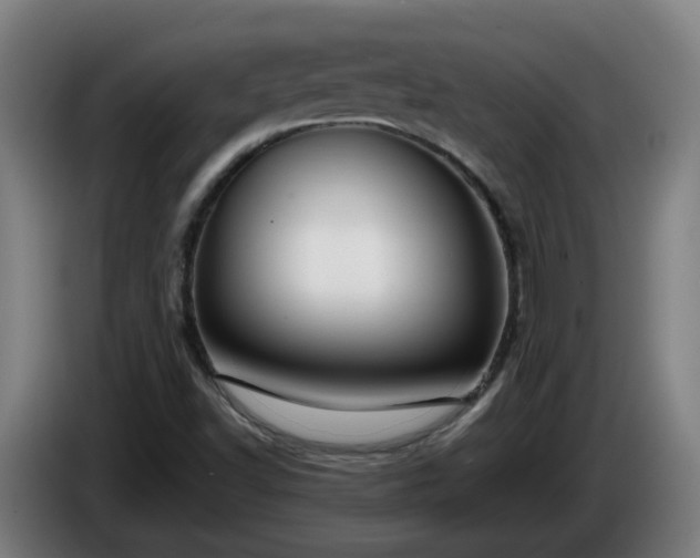 X0000086011502200703300958