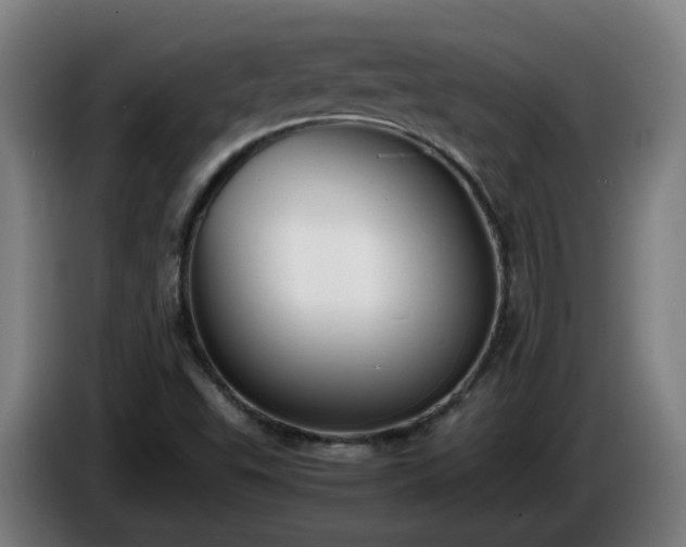 X0000086011503200703300958