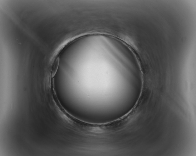 X0000086011504200703300958