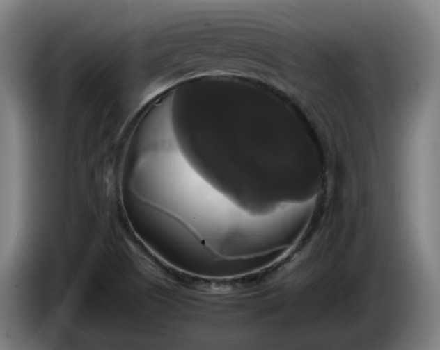 X0000086011505200703300958