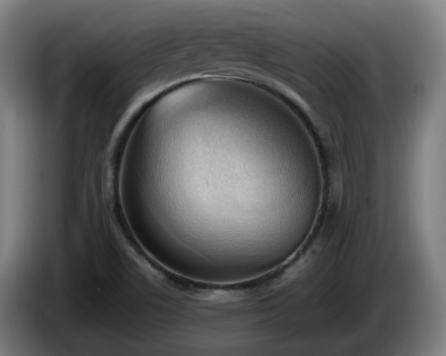 X0000086011506200703300958