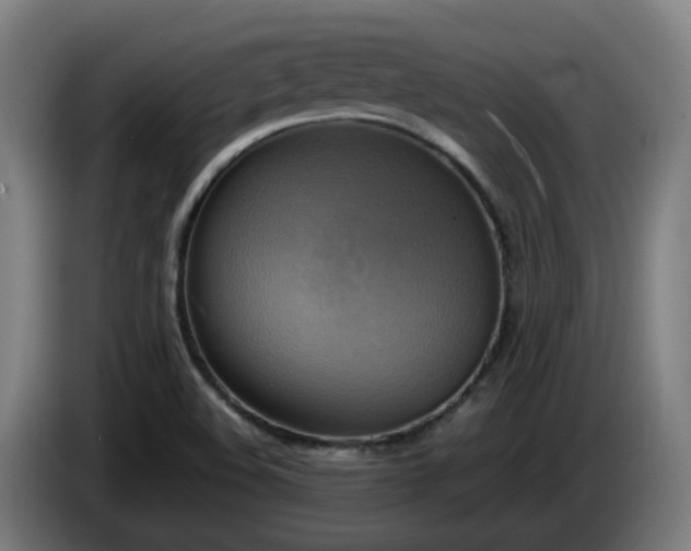 X0000086011508200703300958