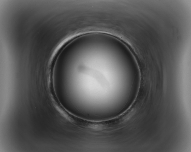 X0000086011511200703300958