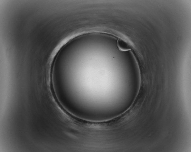 X0000086011512200703300958