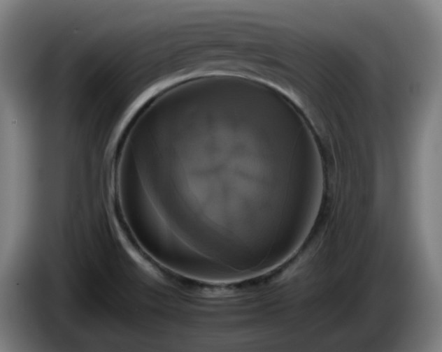 X0000086011515200703300958