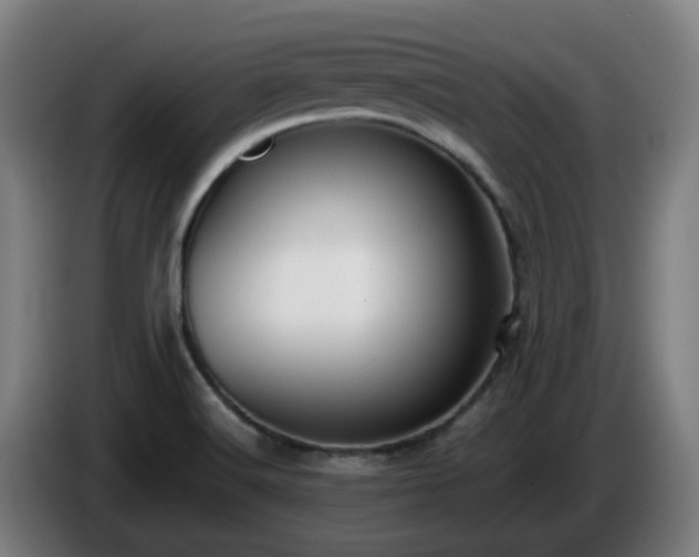 X0000086011516200703300958
