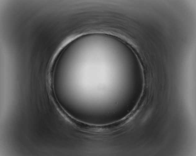 X0000086011517200703300958
