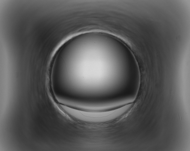 X0000086011518200703300958