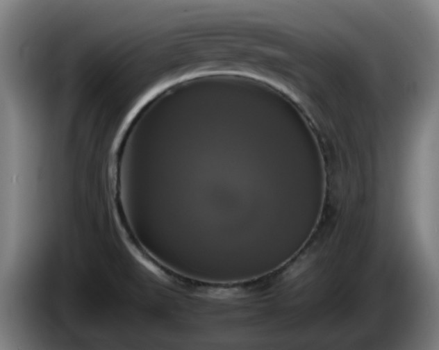 X0000086011519200703300958