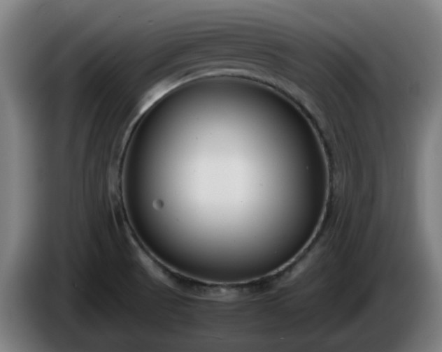 X0000086011521200703300958