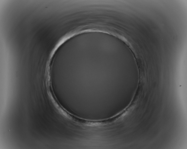 X0000086011522200703300958