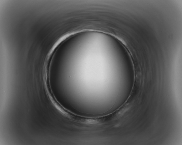 X0000086011523200703300958