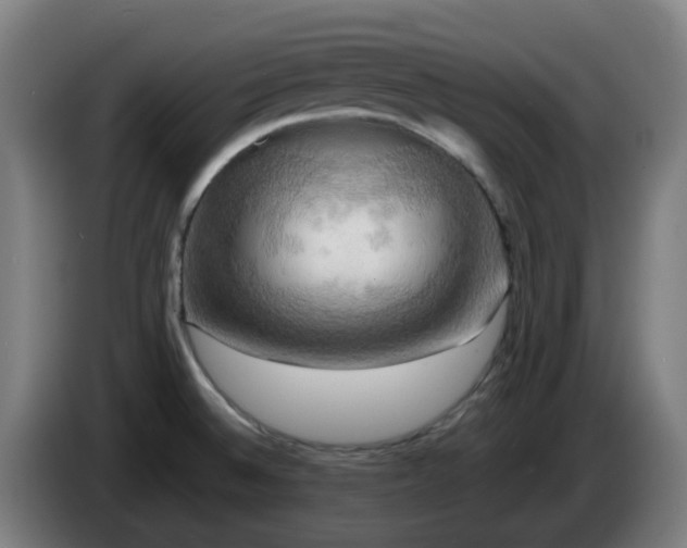 X0000086011524200703300959