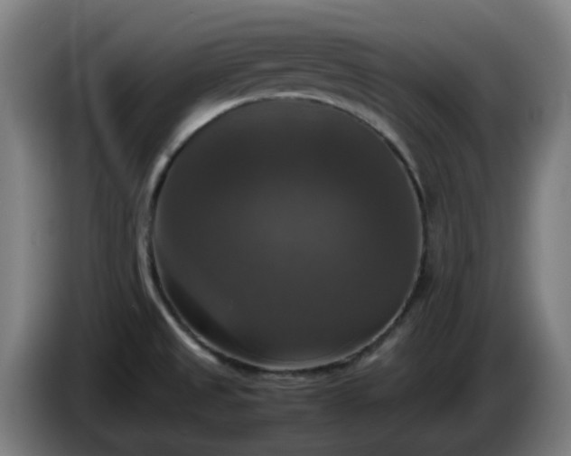 X0000086011525200703300959
