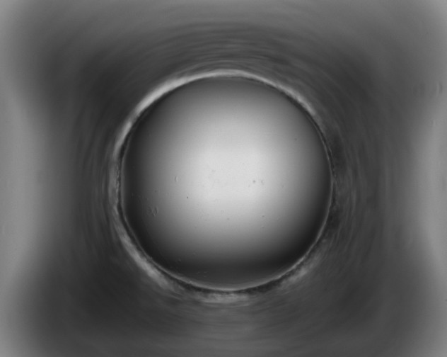X0000086011526200703300959