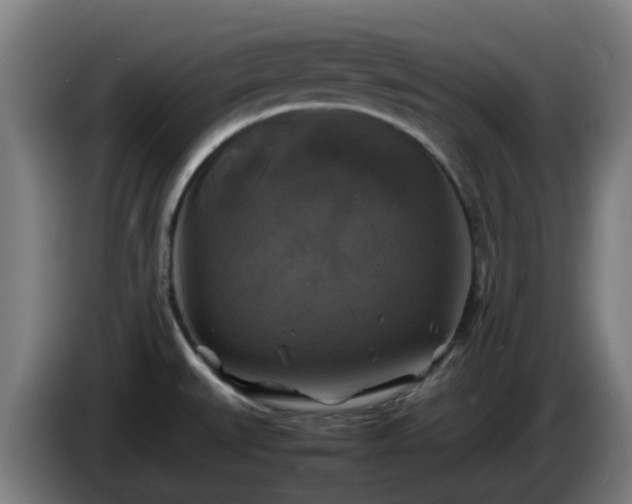 X0000086011527200703300959
