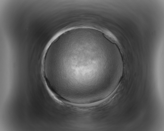 X0000086011528200703300959
