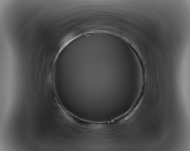X0000086011529200703300959