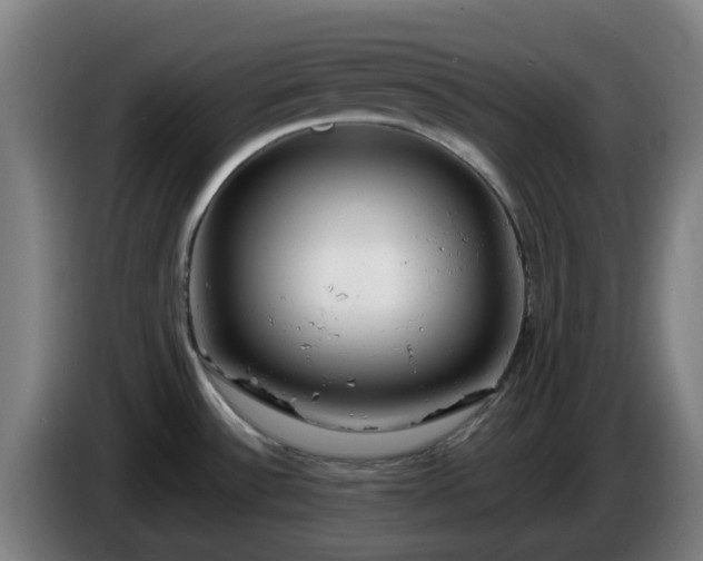 X0000086011532200703300959
