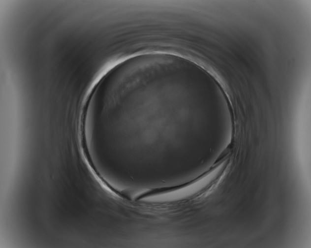 X0000086011533200703300959