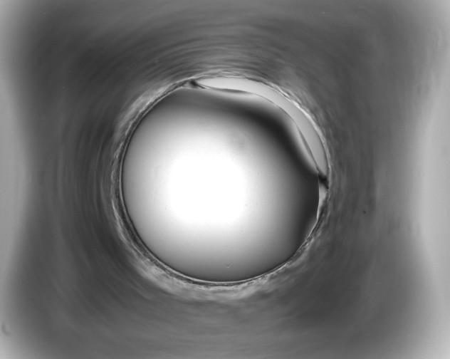 X0000086010001200704091104